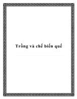 Trồng và chế biến quế