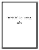 Tương lai cá tra - Nhìn từ giống