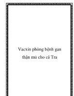 Vacxin phòng bệnh gan thận mủ cho cá Tra