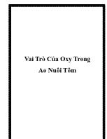 Vai trò của oxy trong ao nuôi tôm