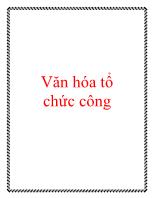 Văn hóa tổ chức công