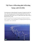 Việt Nam có tiềm năng phát triển năng lượng xanh trên biển
