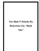 Xác định vi khuẩn họ rickettsia gây “bệnh sữa”