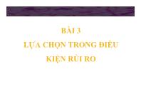 Bài giảng Bài 3 Lựa chọn trong điều kiện rủi ro