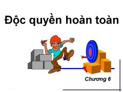 Bài giảng Chương 6: Độc quyền hoàn toàn