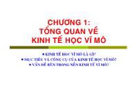 Bài giảng Kinh tế học vĩ mô - Chương 1: Tổng quan về kinh tế học vĩ mô