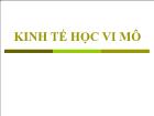 Bài giảng Kinh tế học vi môn - Chương I: Kinh tế học vi mô và những vấn đề kinh tế cơ bản của doanh nghiệp