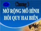 Bài giảng Kinh tế lượng - Chương 3: Mở rộng mô hình hồi quy hai biến