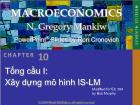 Bài giảng MacroEconomics - Chương 10 Tổng cầu I: Xây dựng mô hình IS-LM