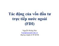 Tác động của vốn đầu tư trực tiếp nước ngoài (FDI)