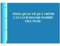 Tổng quan về quá trình cải cách doanh nghiệp nhà nước - Chuyên đề 4: Cải cách doanh nghiệp nhà nước