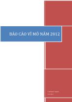 Báo cáo vĩ mô năm 2012