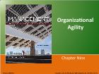 Bài giảng Management - Chapter 9: Organizational Agility