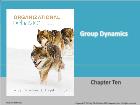 Bài giảng Organizational Behavior - Chapter 10: Group Dynamics