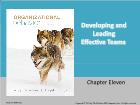 Bài giảng Organizational Behavior - Chapter 11: Developing and Leading Effective Teams