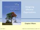 Bài giảng Organizational behavior - Chapter 15: Designing Effective Organizations