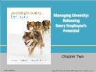 Bài giảng Organizational Behavior - Chapter 2: Managing Diversity: Releasing Every Employee’s Potential