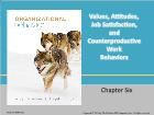 Bài giảng Organizational Behavior - Chapter 6: Values, Attitudes, Job Satisfaction, and Counterproductive Work Behaviors