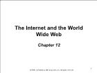 Báo chí truyền thông - Chapter 12: The internet and the world wide web