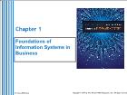 Cơ sở dữ liệu - Chapter 1: Foundations of Information Systems in Business