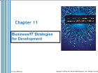 Cơ sở dữ liệu - Chapter 11: Business/ it strategies for development