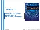 Cơ sở dữ liệu - Chapter 14: Enterprise and global management of information technology