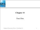 Kinh tế học - Chapter 11: Panel data