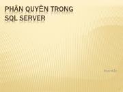 Phân quyền trong SQL server