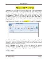 Tin học văn phòng - Bài 5: Microsoft wordpad
